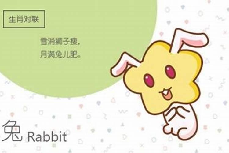 男猪女兔八字合吗？