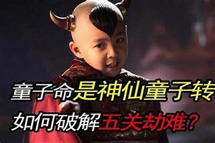 童子命的人都是神仙吗？