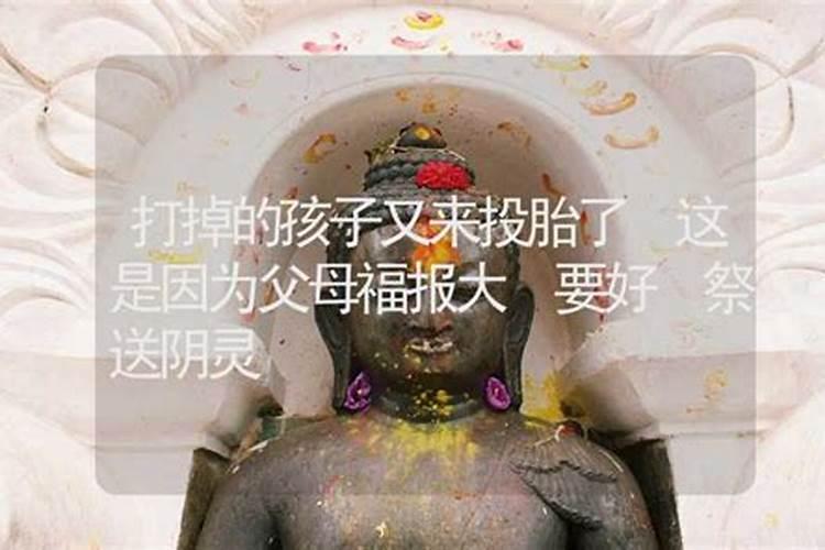 打掉的孩子又来投胎了