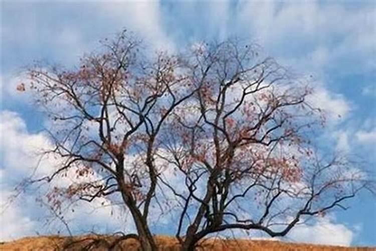 40天堕胎要不要超度