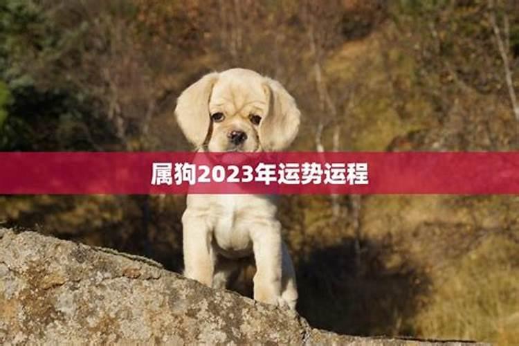 70年狗年在2026年运程