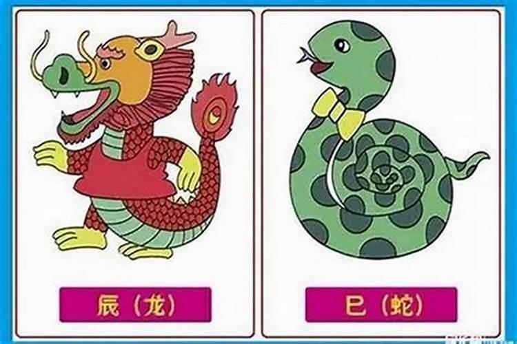 虎男蛇女属相婚配好吗？