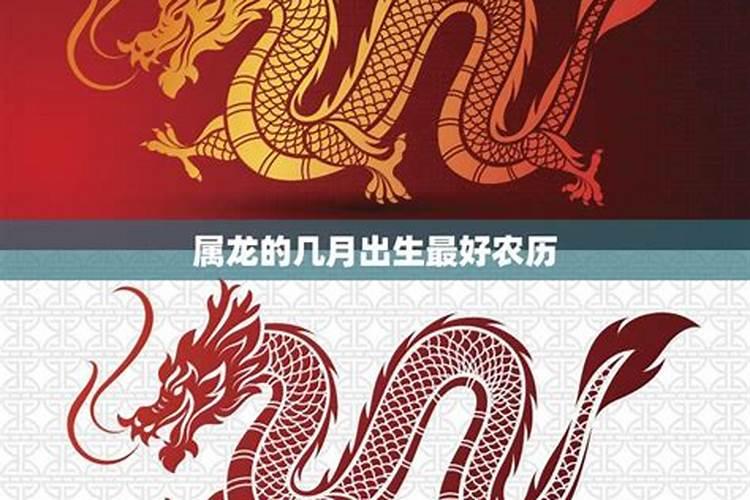 属龙农历九月初九出生好吗？