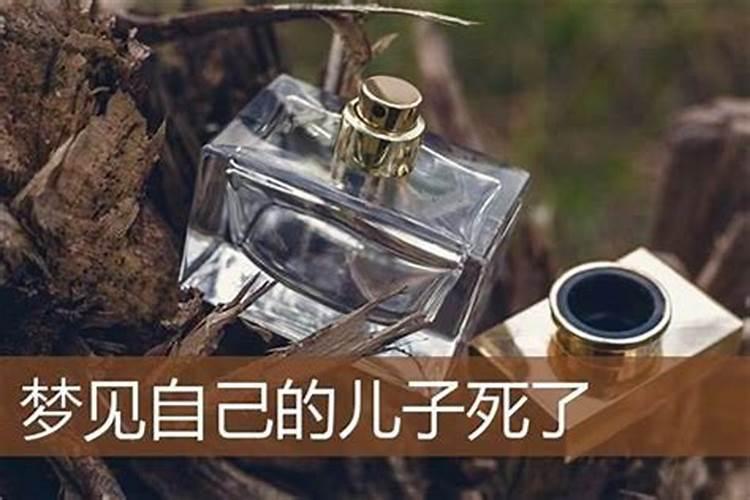 梦见儿子死了是什么预兆五莲并作？