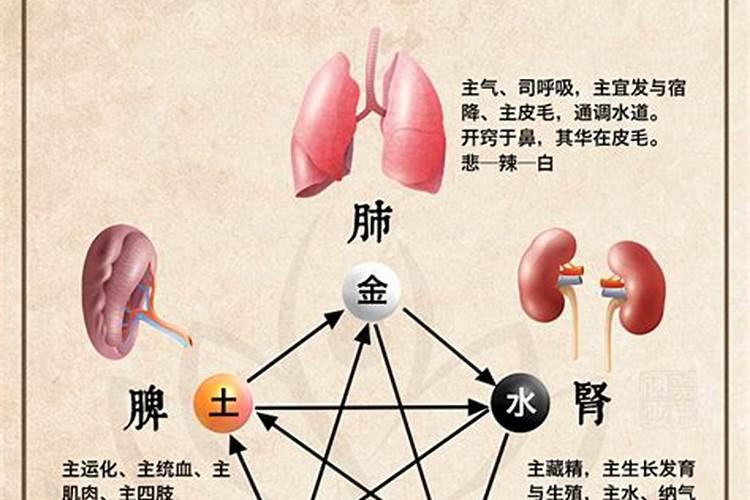 怎样识别人的五行？