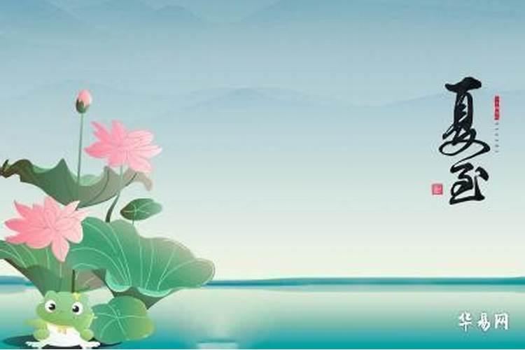 夏至是几月几号几点几分？