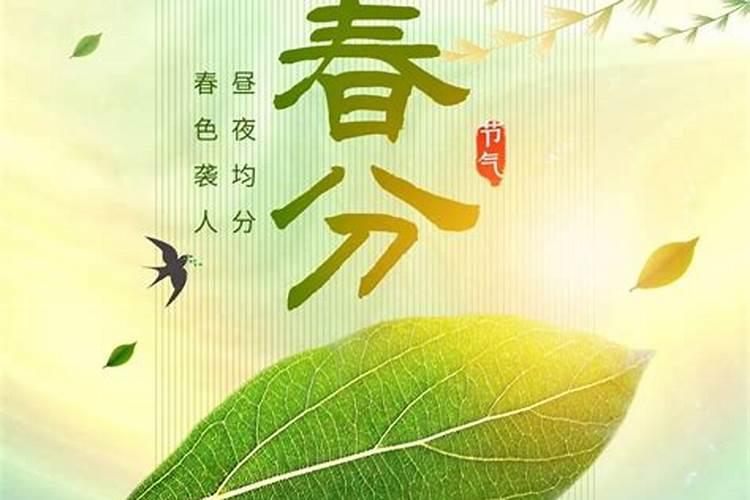 春分和清明之间出生