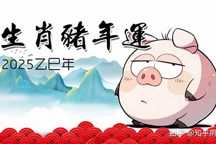 猪属相2026年运势如何？