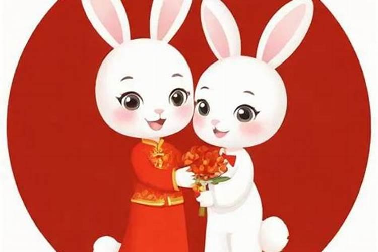 合婚配对兔和什么配？