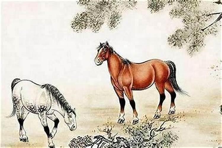 属马的和属猪的婚合婚吗？