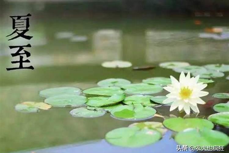 夏至在六月几日至？