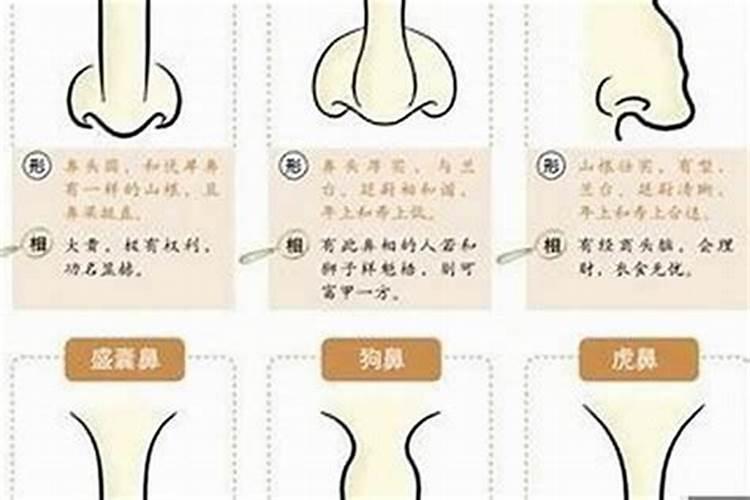 看鼻子算婚姻准吗？