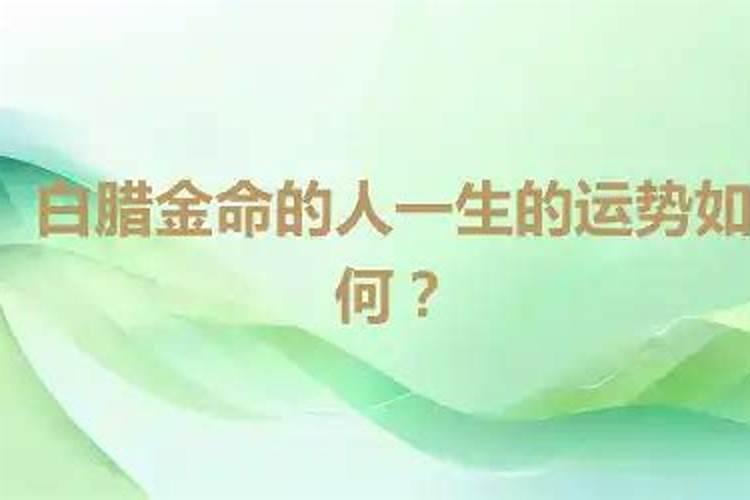 81年出生人一生运势如何？