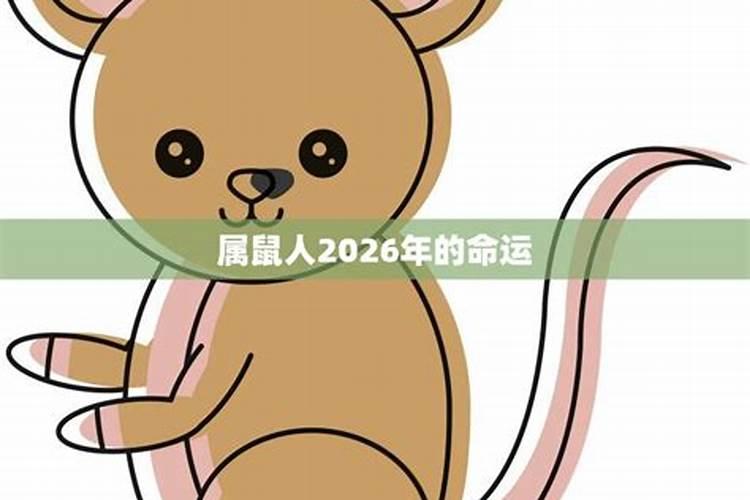 属鼠2026年运程事业