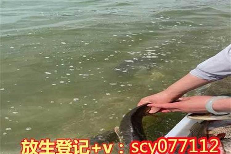 堕胎的罪孽去哪化解？