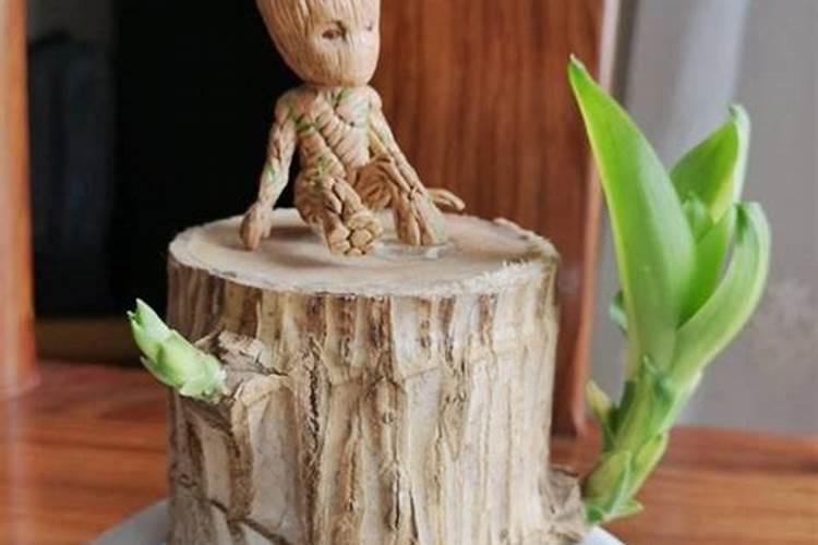 巴西木的那个小人