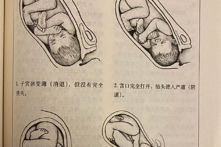 梦到自己怀孕分娩的过程