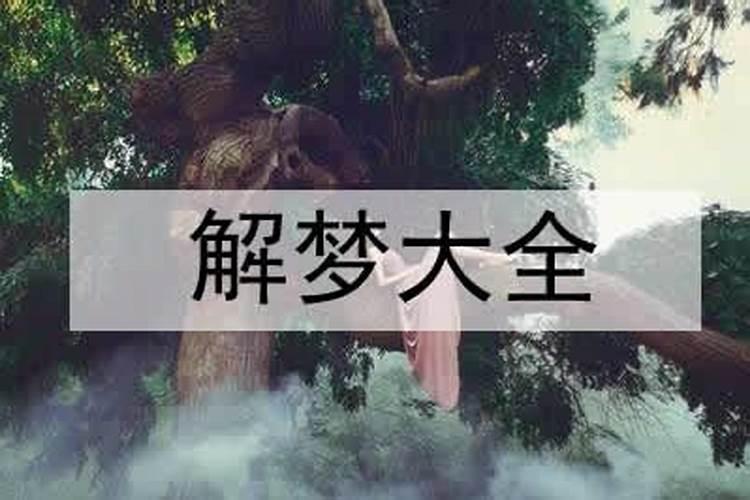 连续梦到前女友什么情况呀？