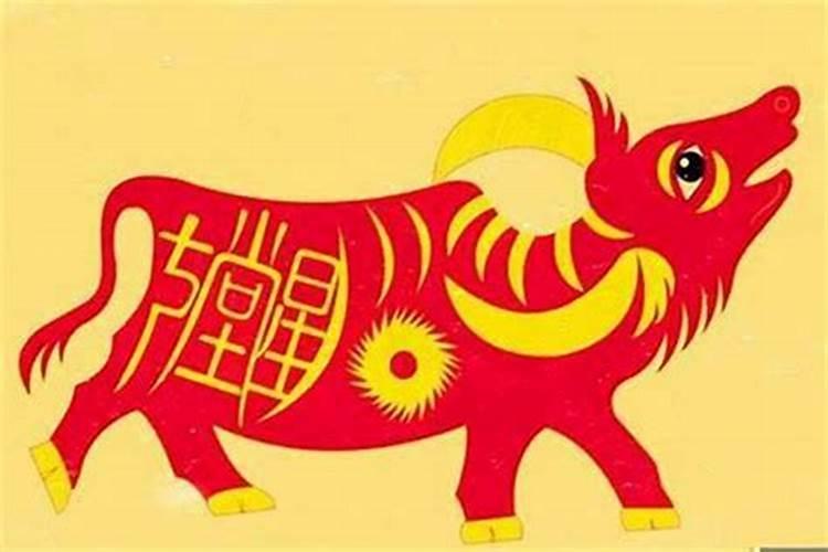 今年生肖猪的运势好不好？