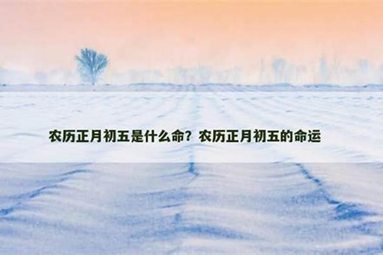 农历正月初五好命运