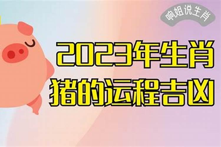 2026年10月份猪的运程如何？