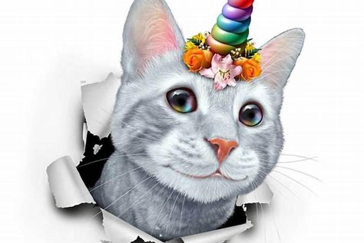 梦见弟弟是什么预兆解梦？