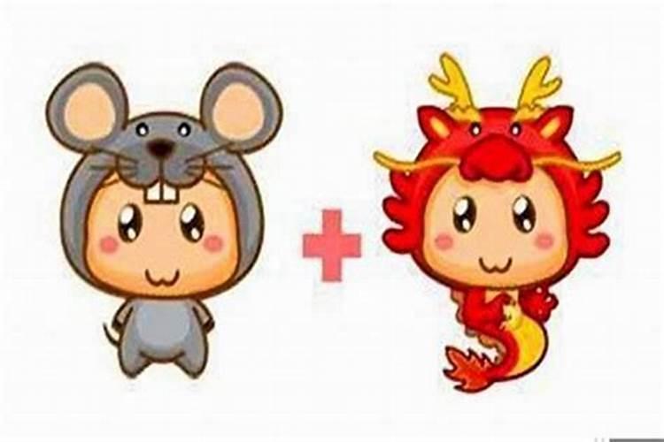 女龙男鼠属相婚配好吗？