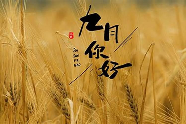 出生日九月初九