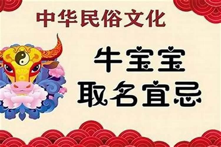 牛属相本命年可以结婚吗？