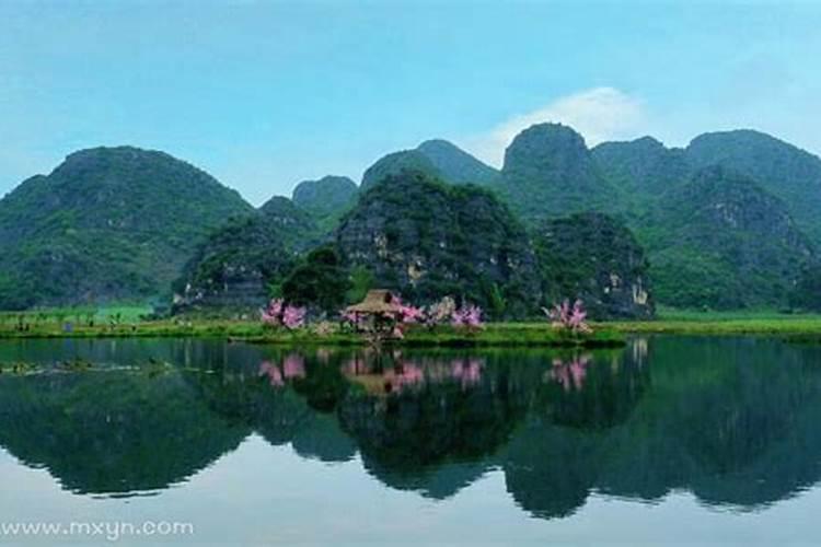 梦见墓地景色很美很美