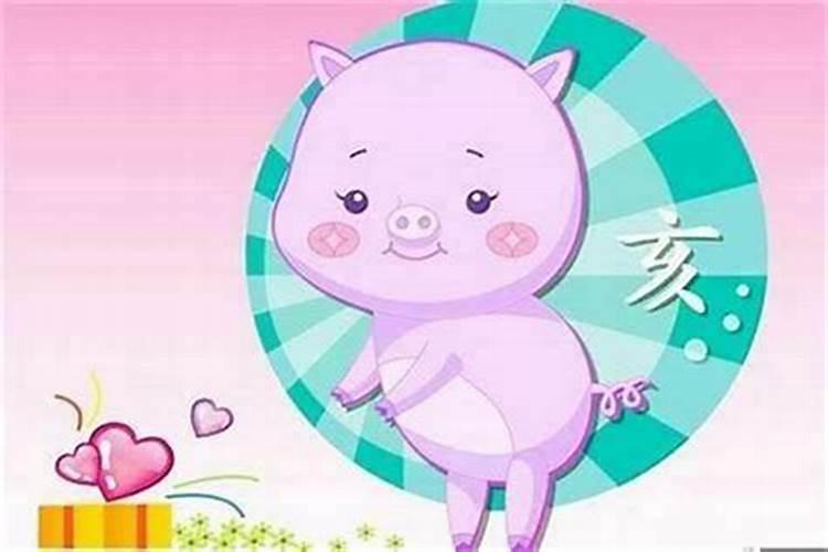 猪爸爸和牛宝宝八字合吗？