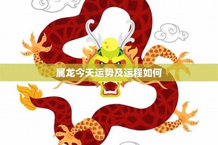 属龙2026年运势今天及运程