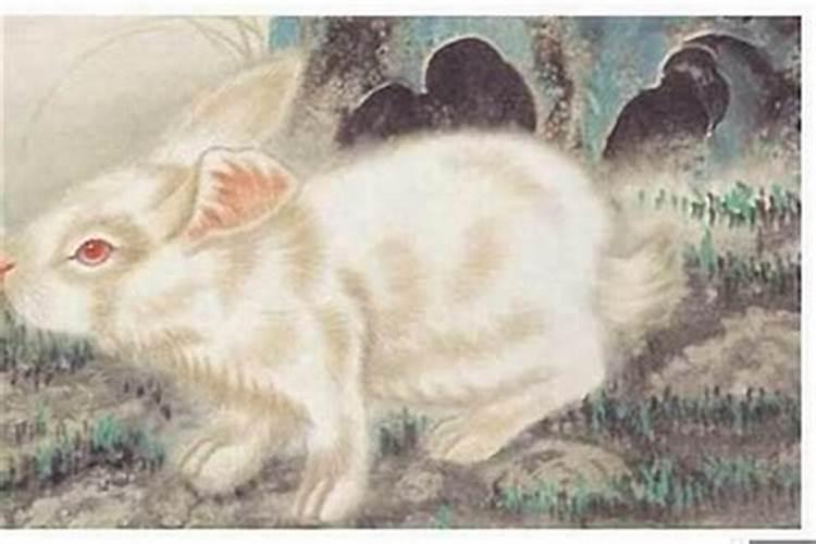 87年出生属兔的5月29号的运程