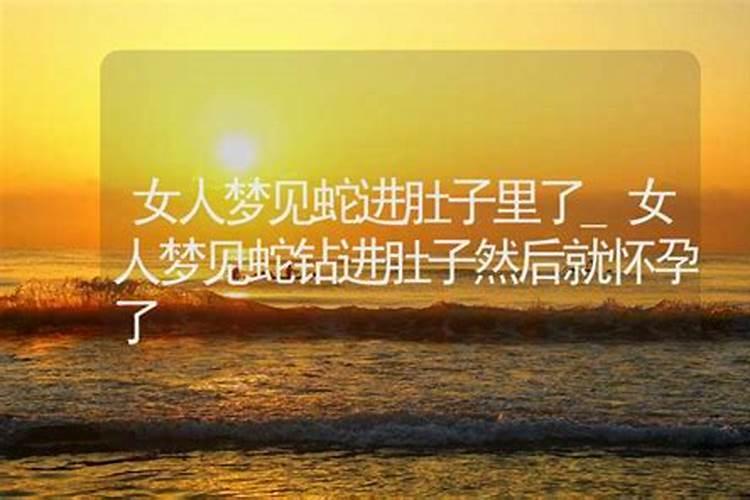 梦见前妻回来了肚子里怀孕了