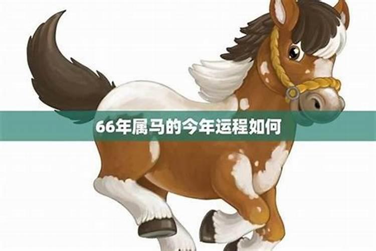 属马2026年犯害太岁怎么化解？