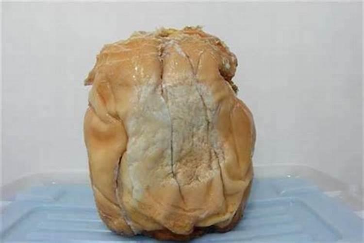 太岁有什么作用和功效和禁忌？