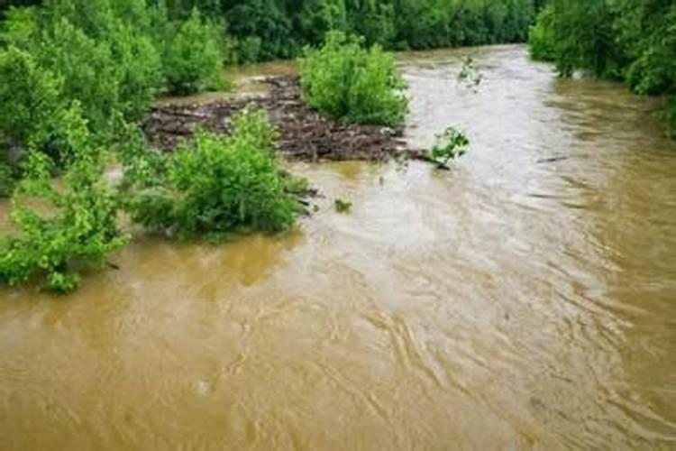 梦见水流很急很浑浊的洪水