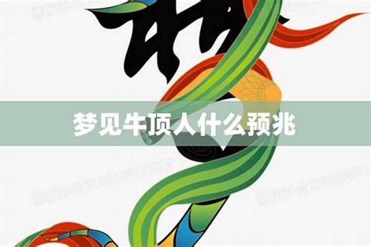 梦见牛顶人预示着什么预兆？