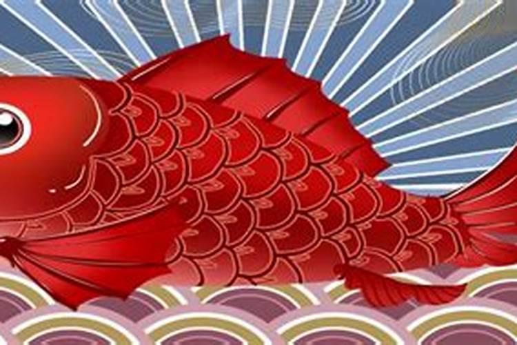 梦见红色鲤鱼跳到自己身上
