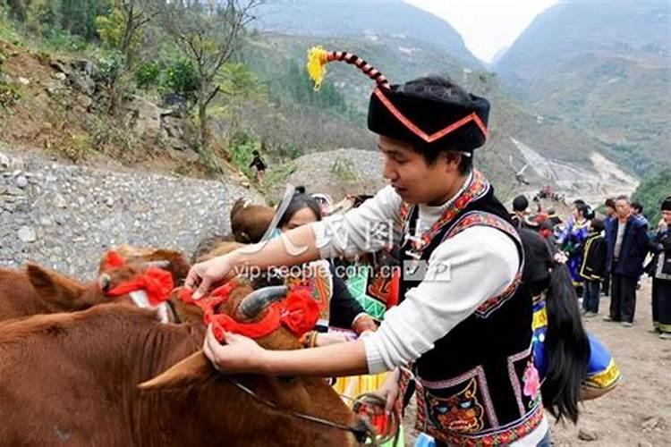 十月初一的牛运气