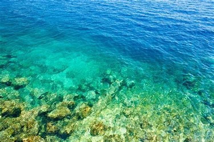 梦见很大的水是怎么回事？