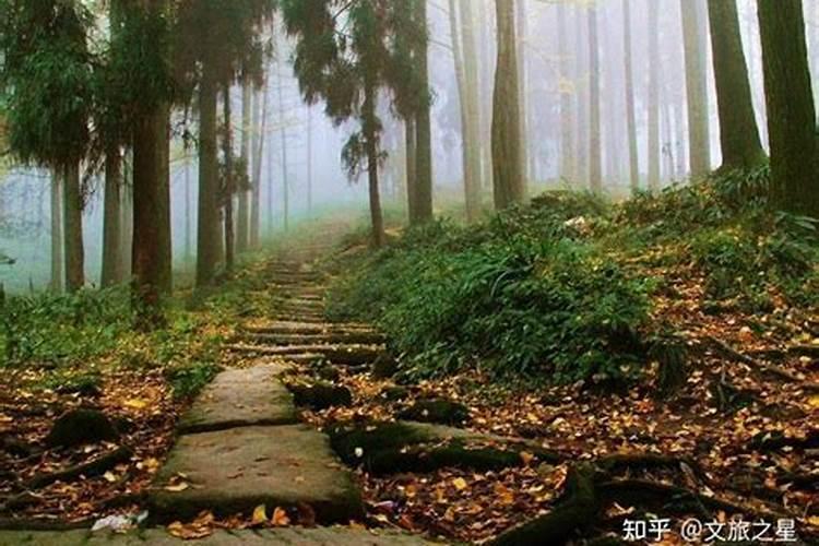 怎样在灵岩山做法事？