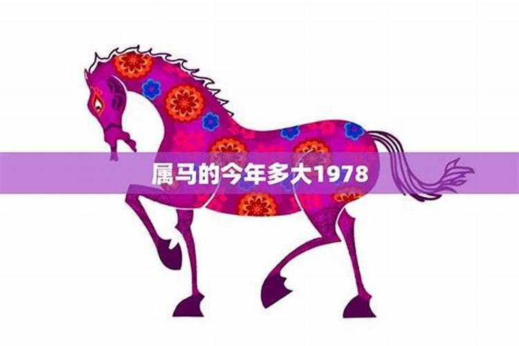 1978属马人今年运势