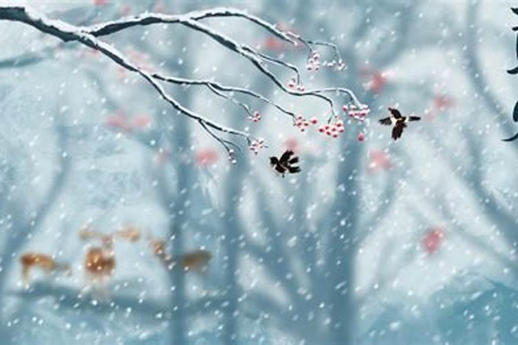 二十四节气里的立冬是哪天？