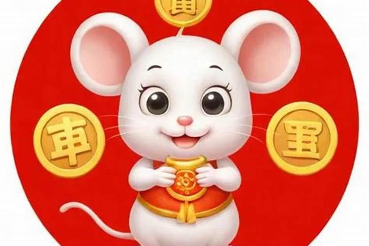 明年属鼠运势怎么样？