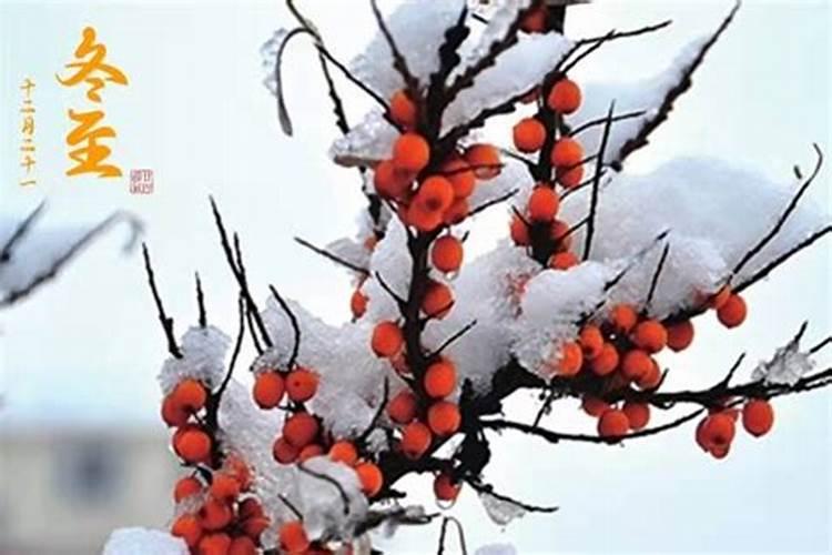 冬至有什么风俗吗山东？