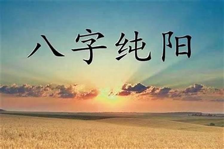 八字全阳人有什么姻缘？