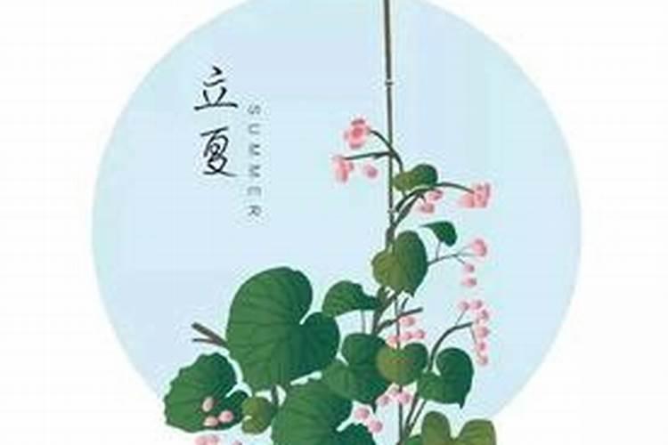 立夏的风俗有哪些副业？