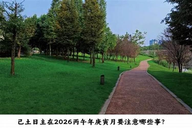 己土日元在2026年运程