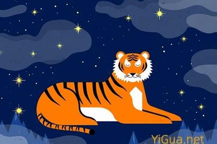 梦见老虎是什么预兆离我几米远？